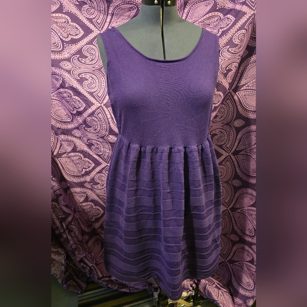 Lane Bryant Purple Skater Dress